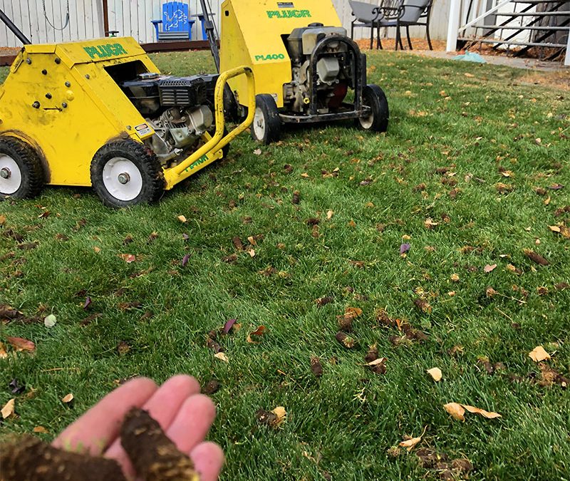 Why Fall Lawn Aeration Is Essential for a Healthier Lawn
