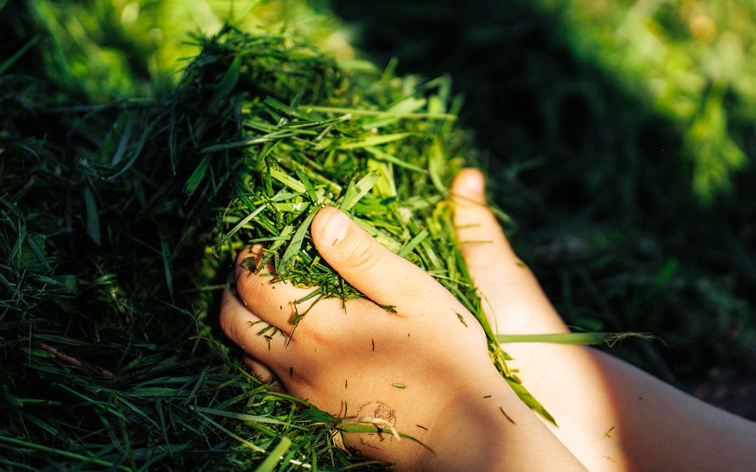 Why Mulching Grass Clippings Is Better Than Bagging Your Lawn